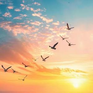Flying High