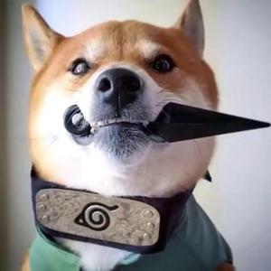 不分手的恋爱（翻唱）