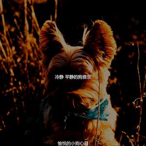 安静的小狗声音