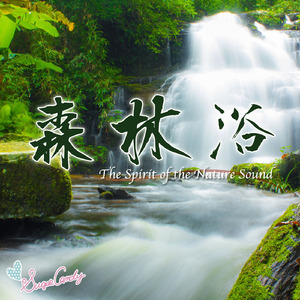 深緑の木漏れ日