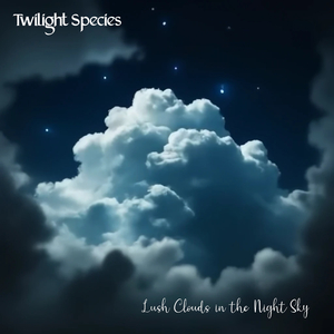 Lush Clouds in the Night Sky (Instrumental Trance Version)