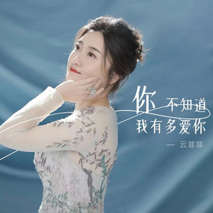 你不知道我有多爱你 (伴奏)