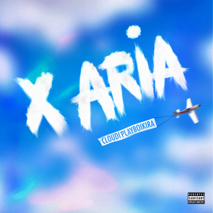 X ARIA