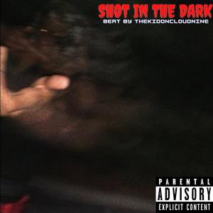 Shot In The Dark (feat. TR3)