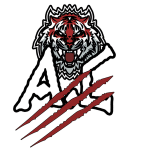 Hardwell-Light show-2（DJ A-c remix）