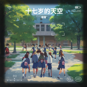 十七岁的天空