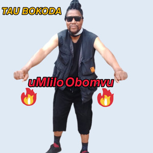 Umlilo Obomvu