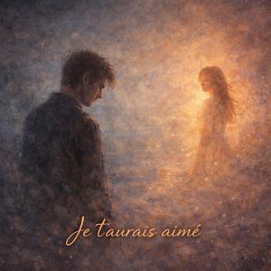 Je t'aurais aimé