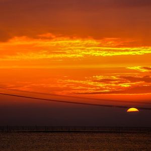 就当风没吹过（桃籽）_河马