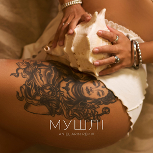 Мушлі (Aniel Arin Remix Radio Edit)
