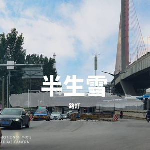 半生雪DJ（翻自 DJ Yaha）