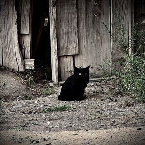 Umbral (2026 version)