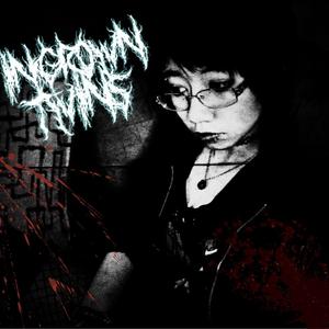 Falsifier