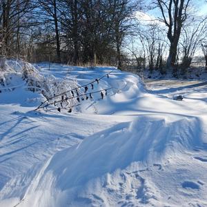 Winter magic