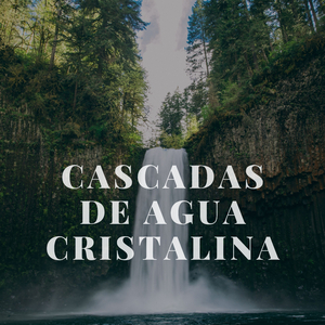 Cataratas transitorias