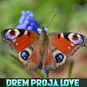 Drem Proja Love