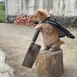 家里养了鬼