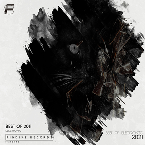 Massive Conil (Original Mix)