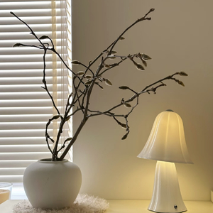 我的秘密是喜欢你