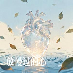 放慢过的心