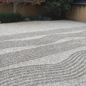 Narrow Bridge Reprise