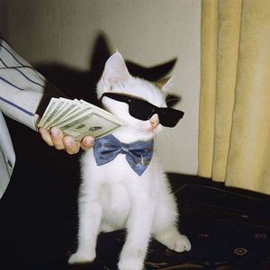 《爱在离别时窒息》