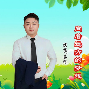 向着远方的梦想