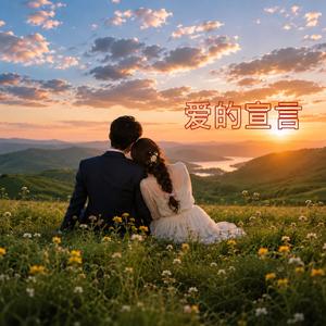 爱的宣言