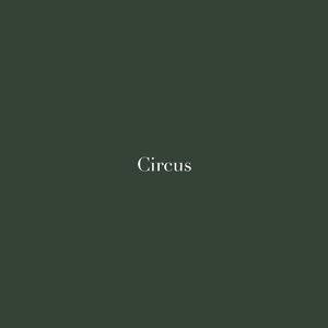 Circus（Cover：泰妍）