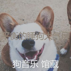 优美幼犬器乐