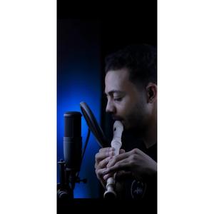 Baby Stop (Recorder Beatbox)