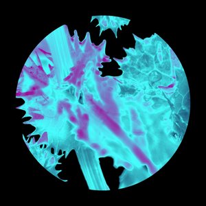 Something, Somewhere