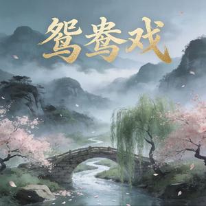 鸳鸯戏(R&B版)