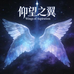 仰望之翼