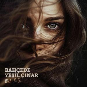 Bahçede Yeşil Çınar