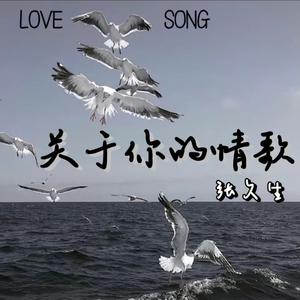 关于你的情歌