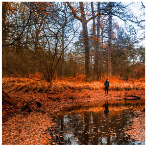 Un univers sans miroir