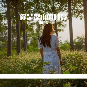 你是凉山的月亮 (1)