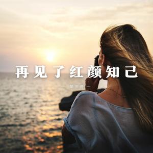 再见了红颜知己