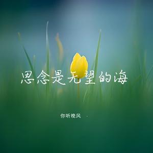 思念是无望的海