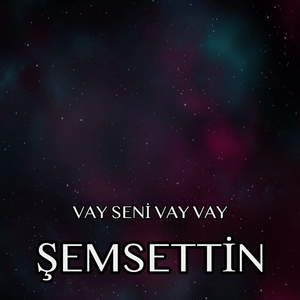 Vay Seni Vay Vay