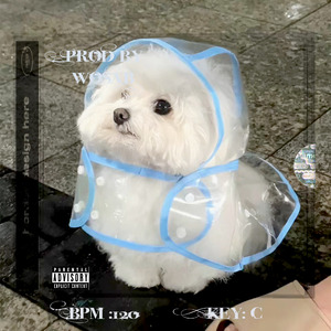 “真假美猴王”-隼 Type Beat