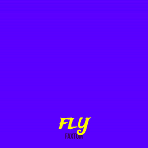 Fly