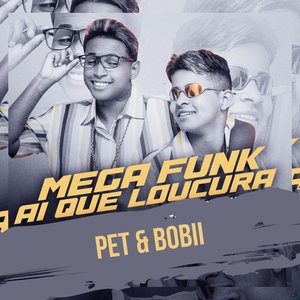 Mega Funk Ai Que Loucura