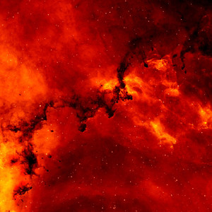 the beats of the plazz