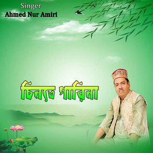 চিনতে পারিনা