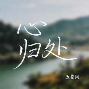 心归处（抖音热播版）