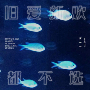 旧爱新欢都不选