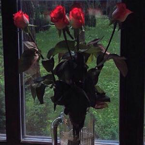 Make you feel my love