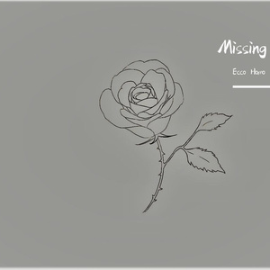 Missing